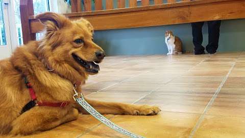 Forest Oaks Animal Hospital: Kleisch Rodger DVM Forest Oaks Animal Hospital: Kleisch Rodger DVM
